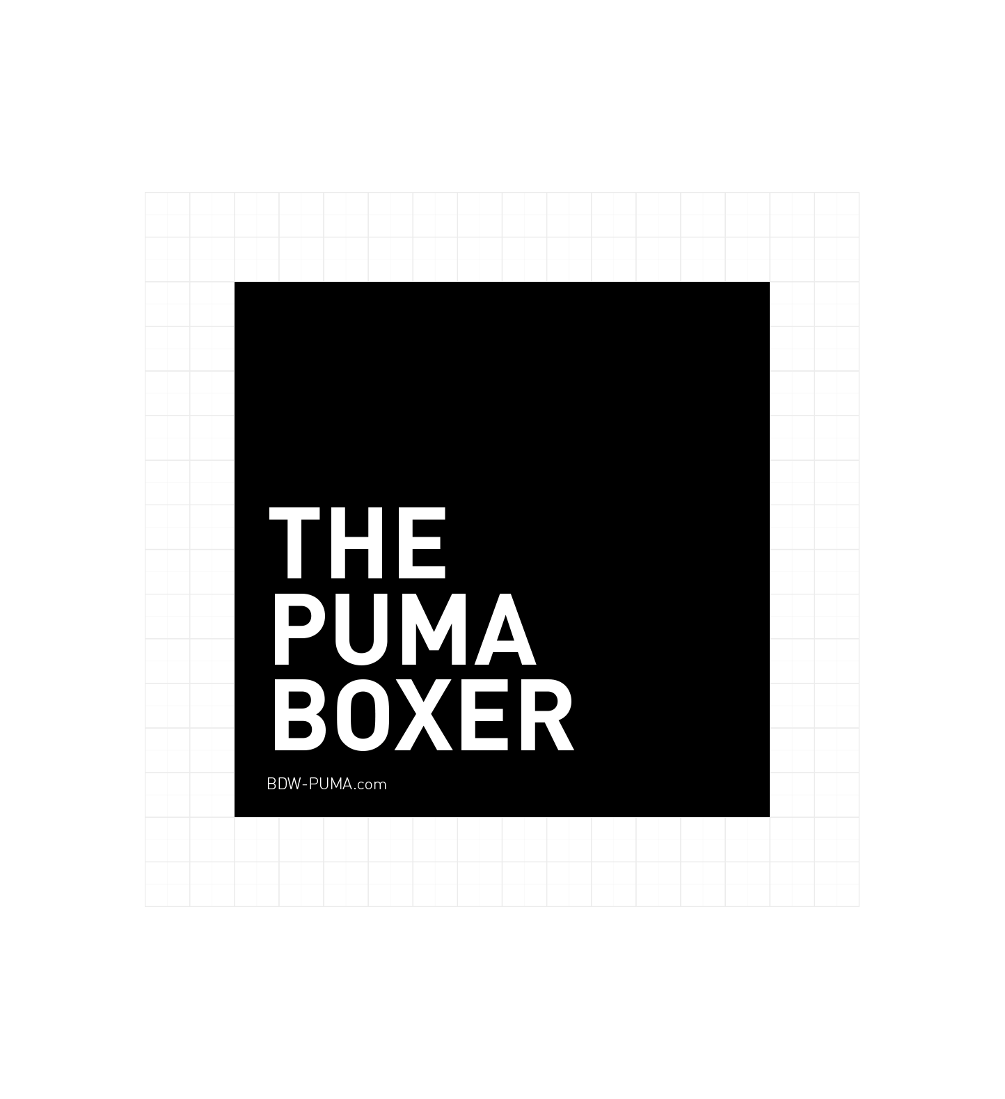 2d.-3000x1852_(PUMA_icons)